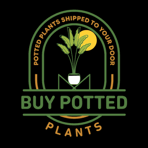 Buy Potted Plants