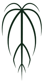 Buz Plants