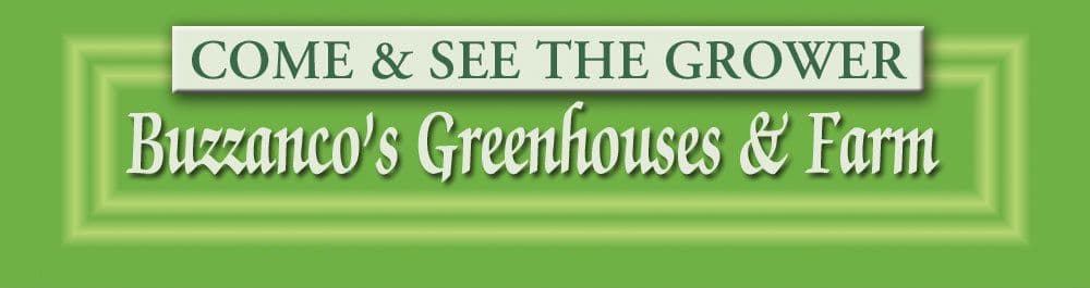 Buzzanco's Greenhouses & Farm