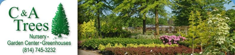C & A Trees Unlimited Inc