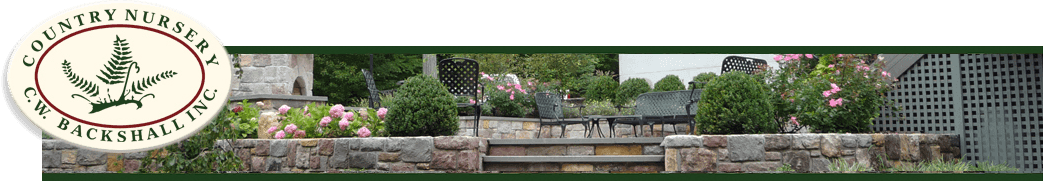 C W Backshall landscaping INC