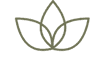 Cache Valley Native Plants