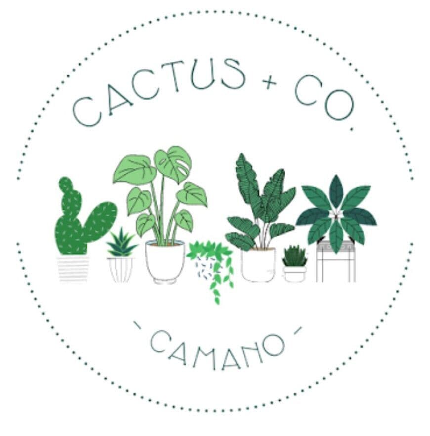 Cactus + Co. Camano Island
