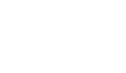 Cactus Curators LLC
