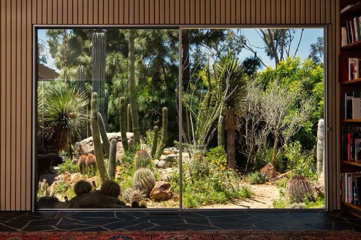 Cactus Store