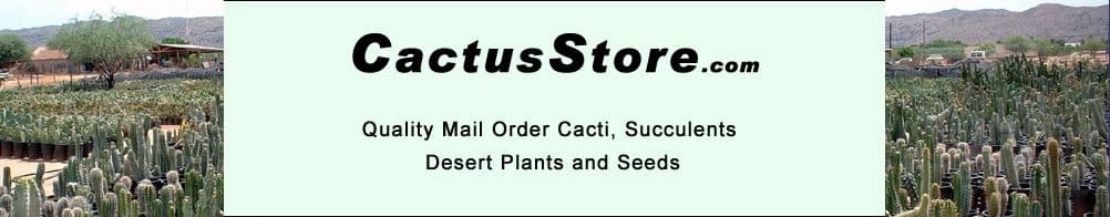 CactusStore