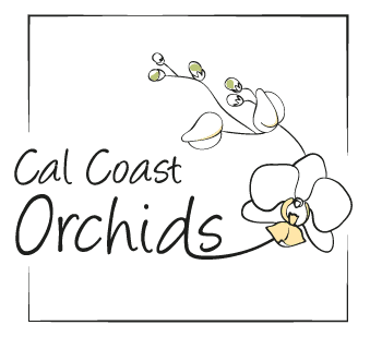 Cal Coast Orchids