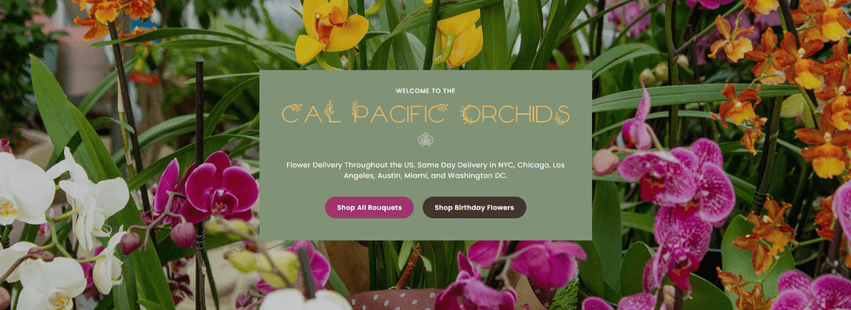 Cal Pacific Orchids