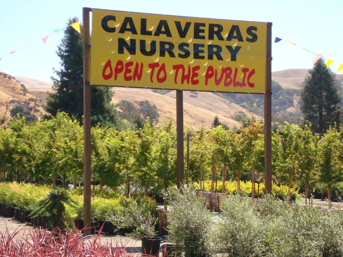 Calaveras Nursery, Inc.