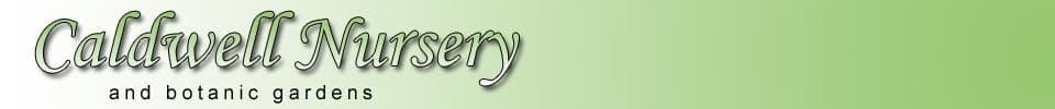 Caldwell Nursery