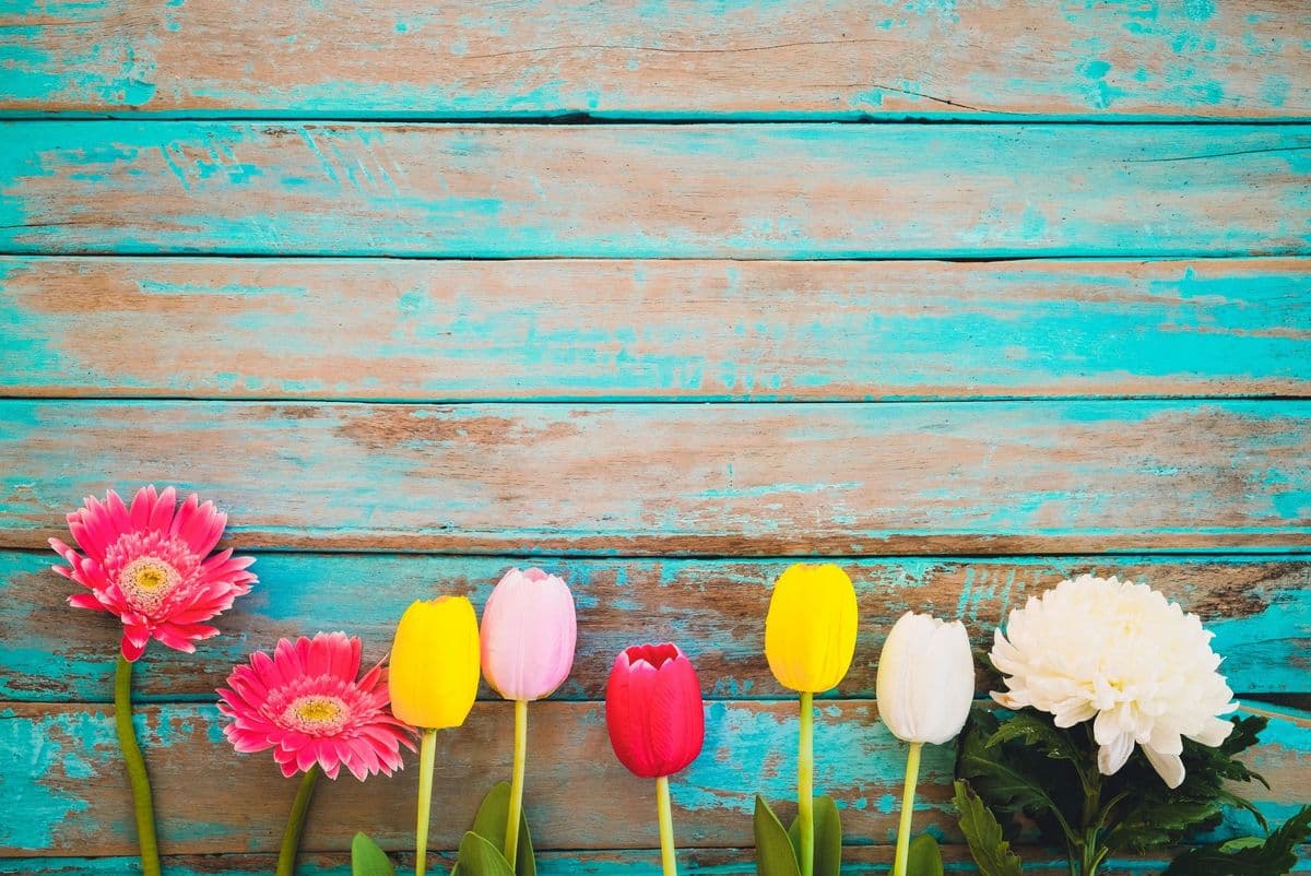 Calico Florist and Tuxedo Rentals