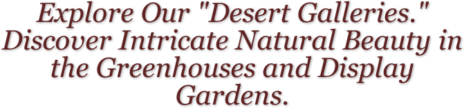 California Nursery Specialties Cactus Ranch