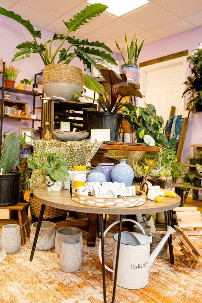Calluna Plants And Gifts LLC