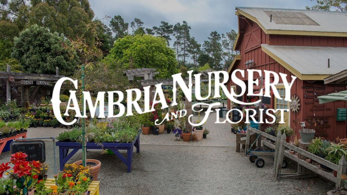 Cambria Nursery and Florist