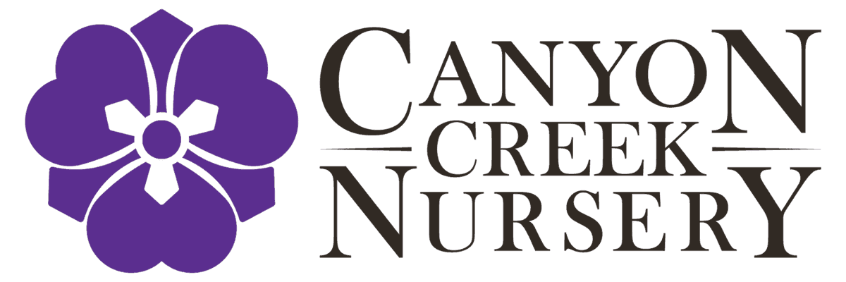 Canyon Creek Nursery