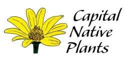Capital Native Plants