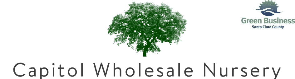 Capitol Wholesale Nursery, Inc.