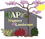 Cap's Nursery & Landscape