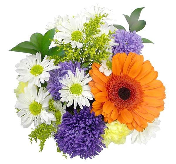 Caraluzzi's Floral & Garden Center
