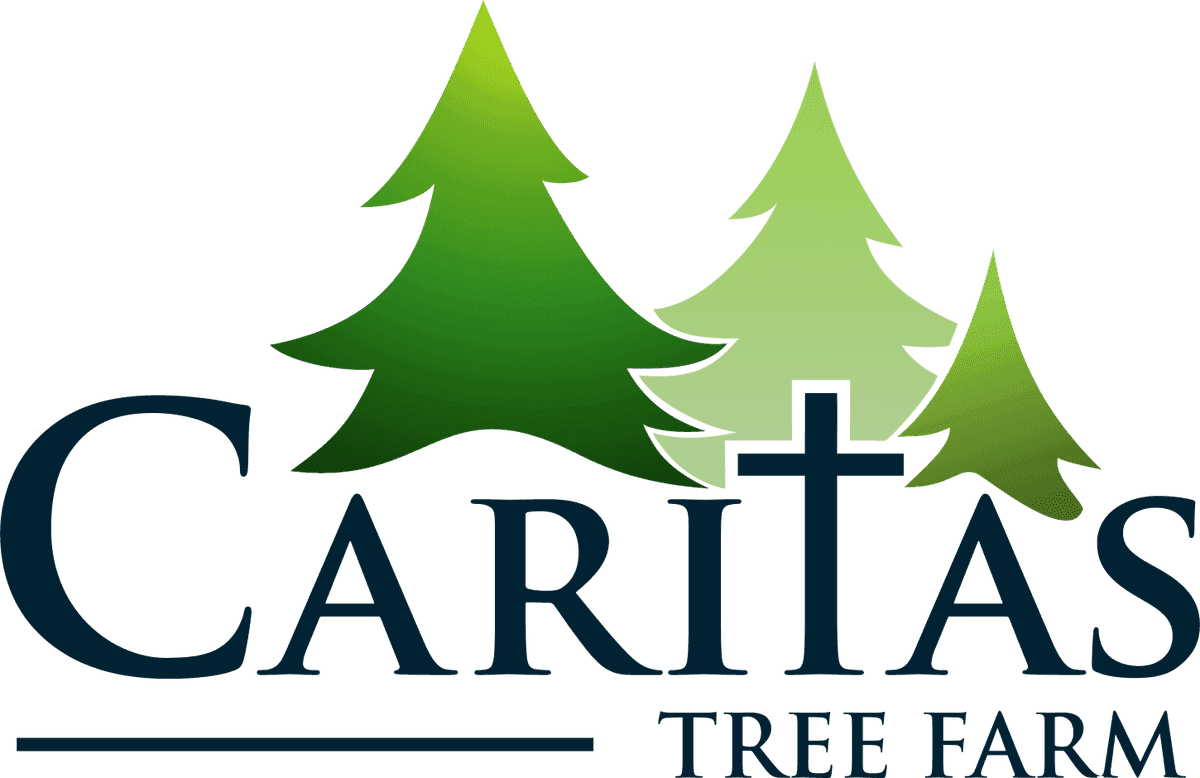 Caritas Tree Farm
