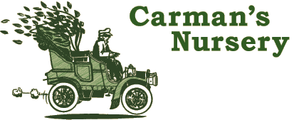Carman's Nursery