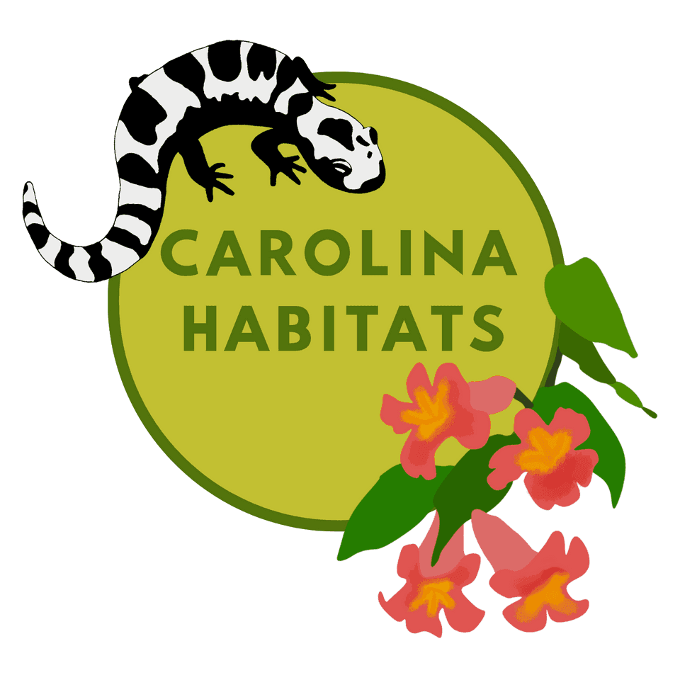 Carolina Habitats (formerly Dirtbag Gardens)