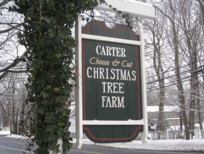 Carter Christmas Tree Farm