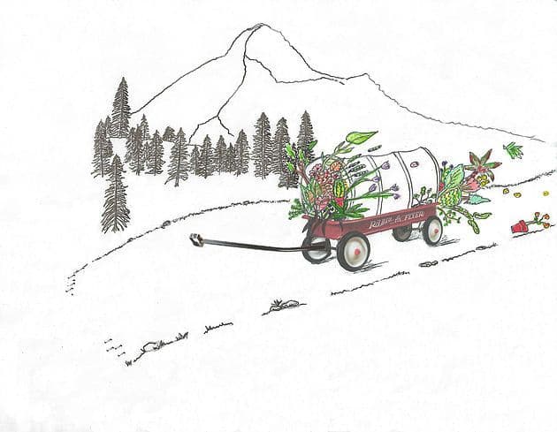 Cascade Nursery Trail