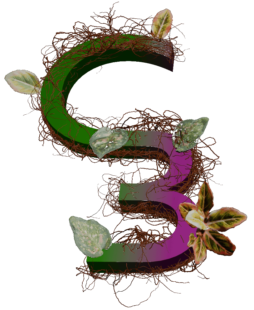 Case Botanicals