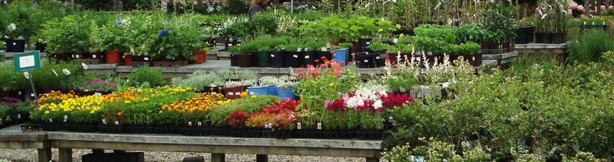 Case Garden Center