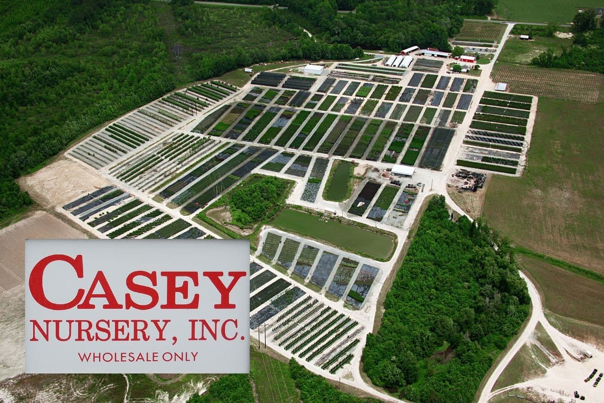 Casey Nursery Inc