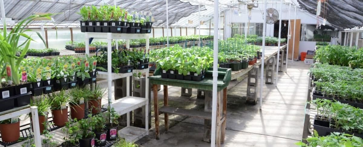 Cashen Creek Florist, L.L.C.