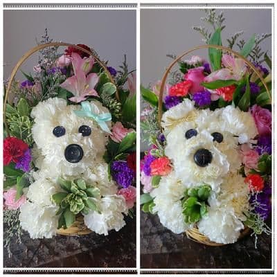 Cathy’s Flowers
