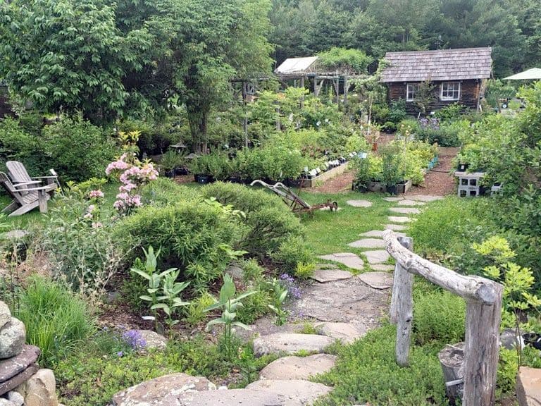 Catskill Native Nursery