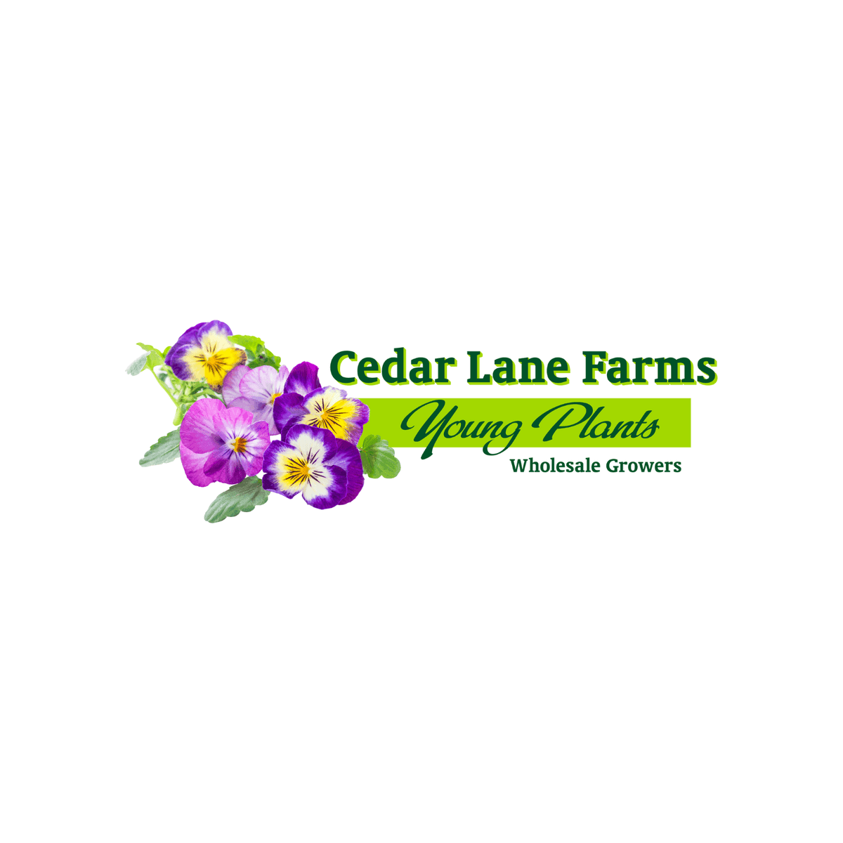 Cedar Lane Farms