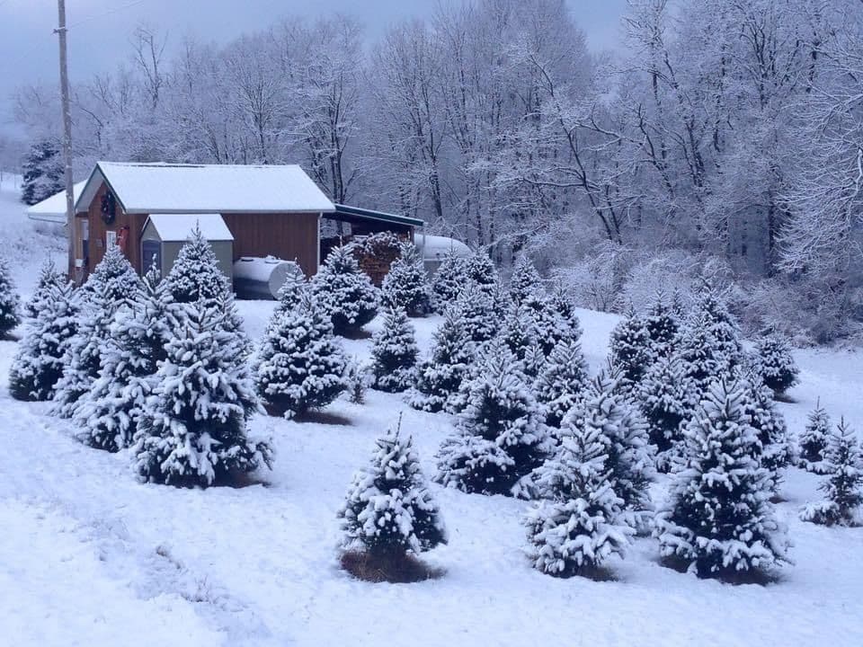Cedar Run Farm
