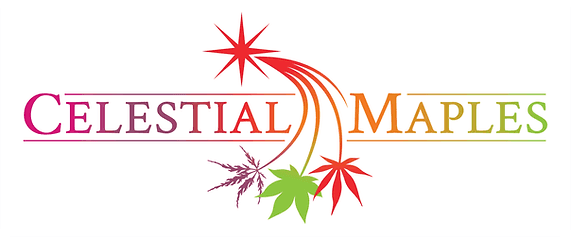 Celestial Japanese Maples