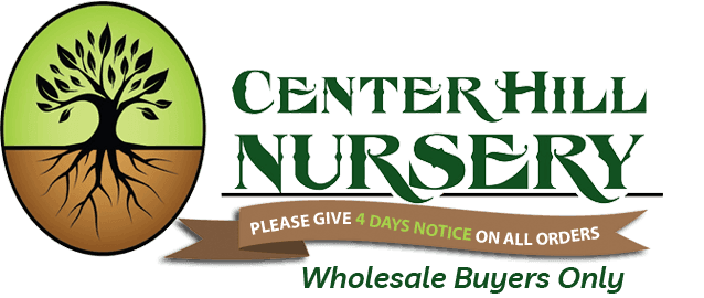 Center Hill Nursery