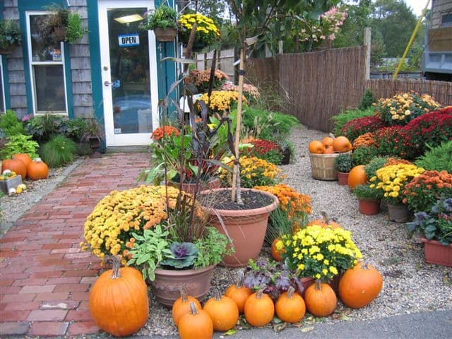 Centerville Farm