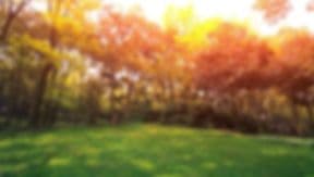Central Coast Sod Inc.