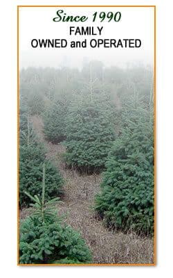 Central Wisconsin Evergreens