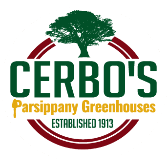 Cerbo's Parsippany Greenhouse