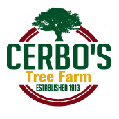 Cerbo’s Tree Farm