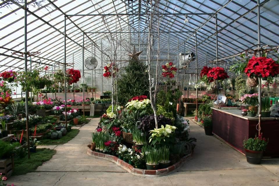 Chadds Ford Greenhouses