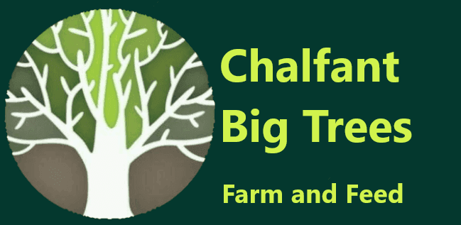 Chalfant Big Trees Farm