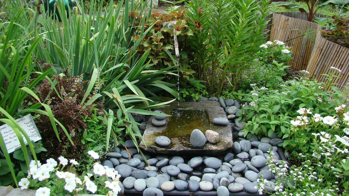 Chapley Gardens