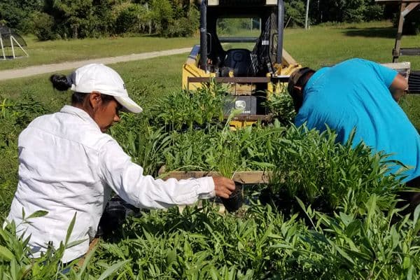Charleston Aquatic & Environmental, Inc.