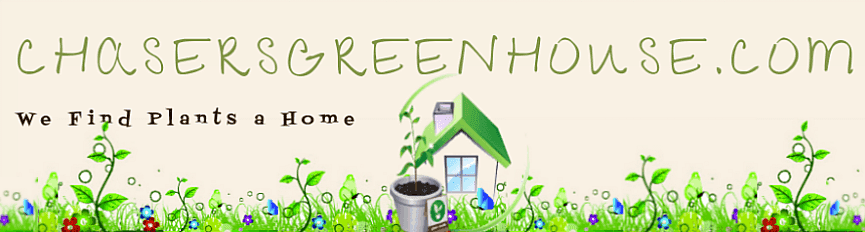 Chasers Greenhouse & Nursery