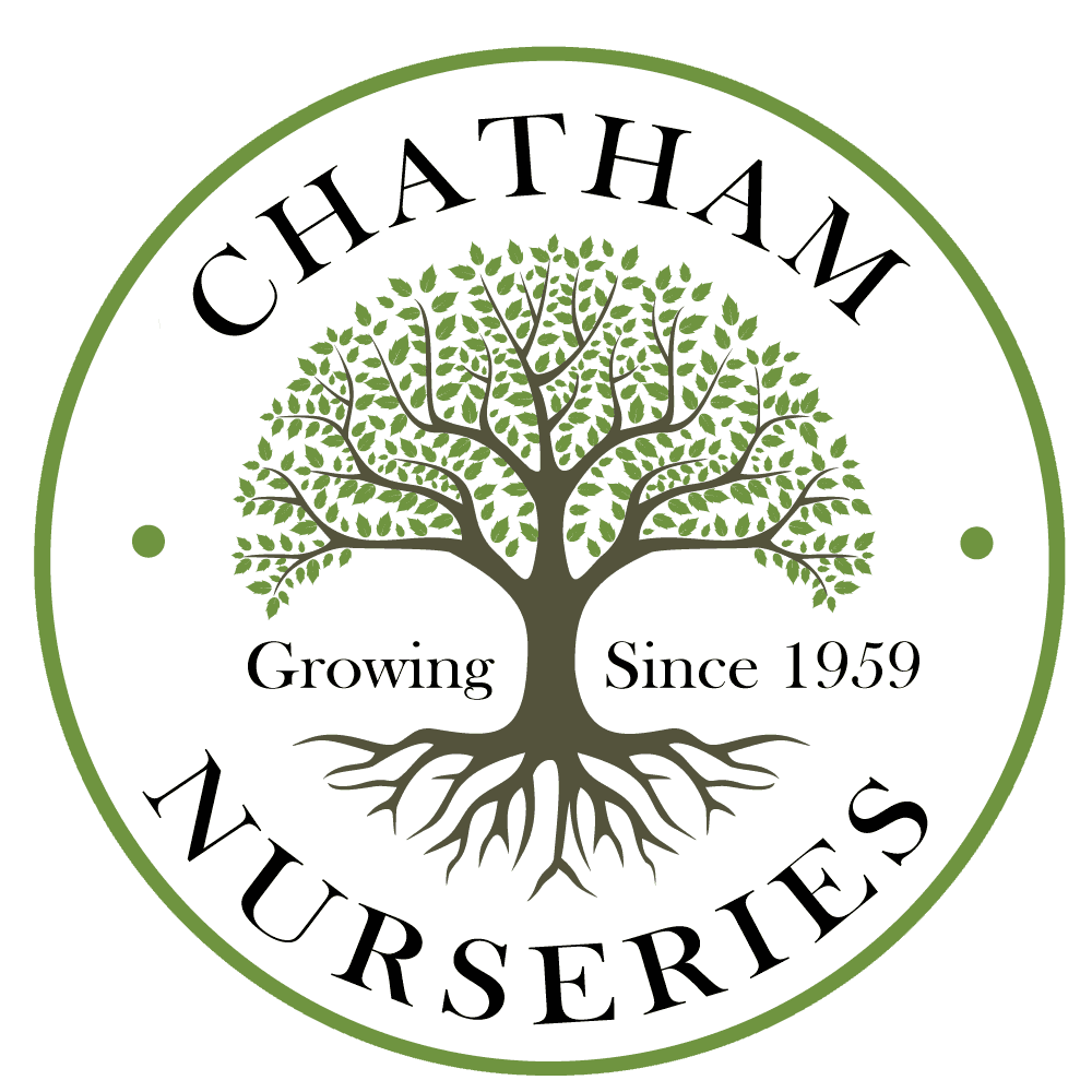 Chatham Nurseries, Inc.