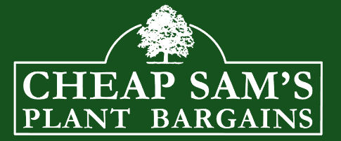 Cheap Sam's Plant Bargains